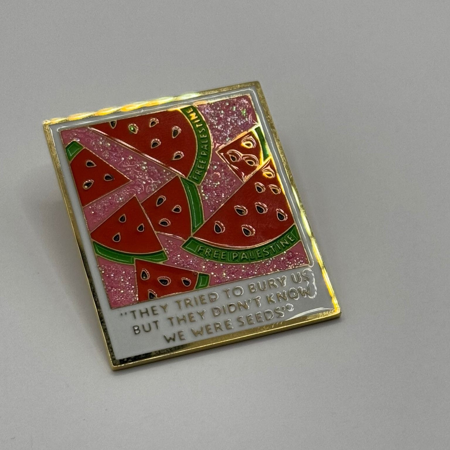 Watermelon brooch - “They tried to bury us”